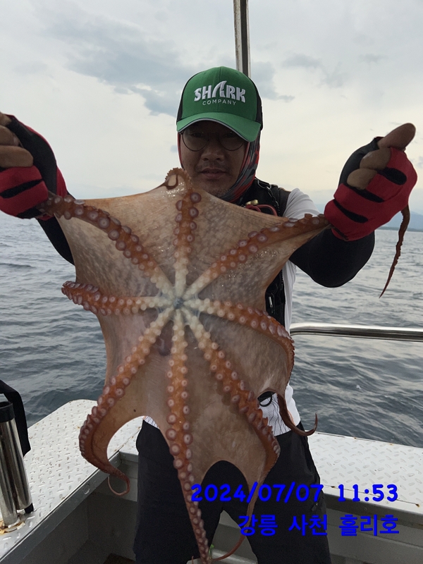 강릉 홀리호의 조황일지 이미지 - 12