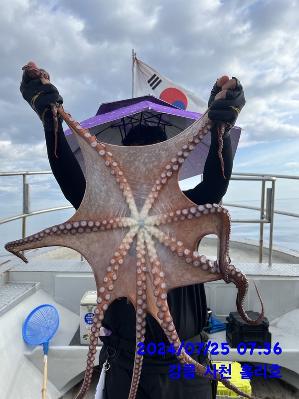 강릉 홀리호의 조황일지 이미지 - 1