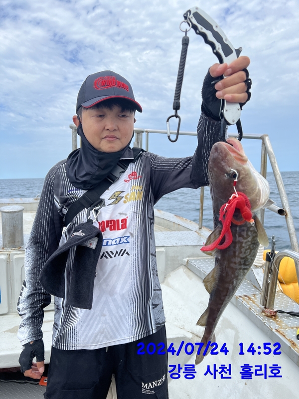 강릉 홀리호의 조황일지 이미지 - 10