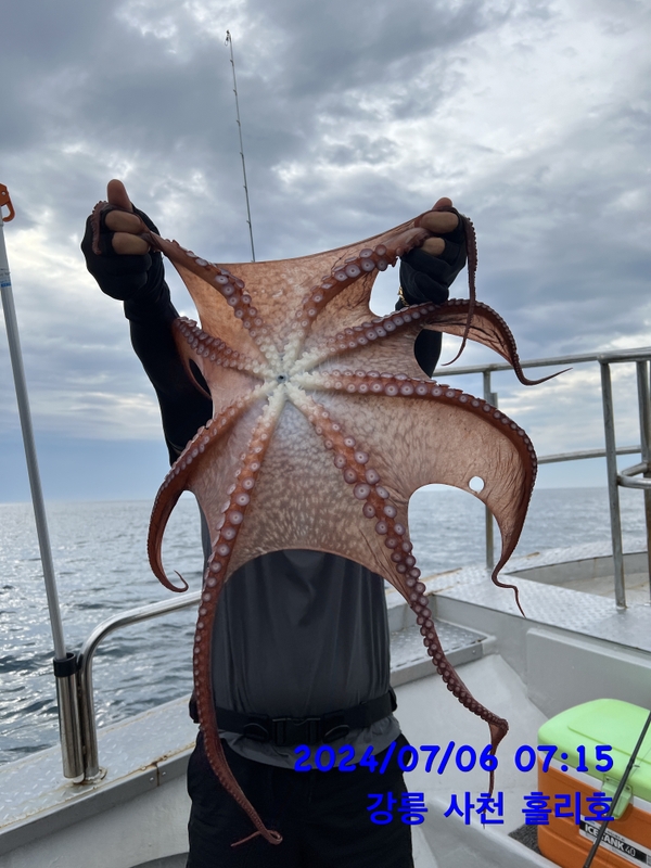 강릉 홀리호의 조황일지 이미지 - 4