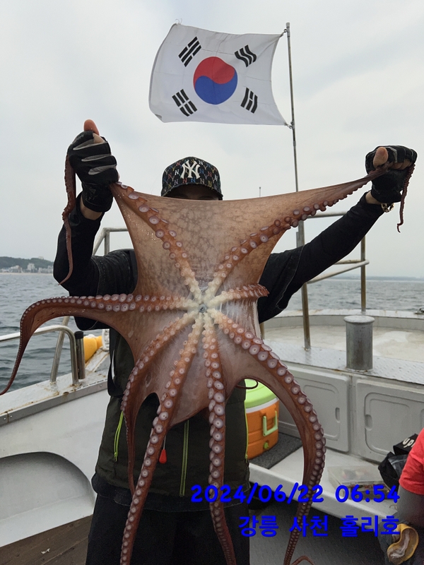 강릉 홀리호의 조황일지 이미지 - 3