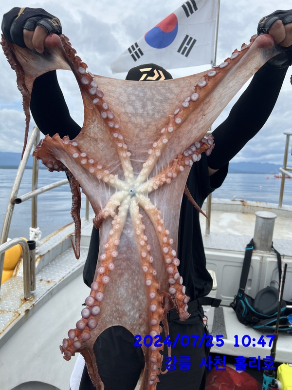 강릉 홀리호의 조황일지 이미지 - 12