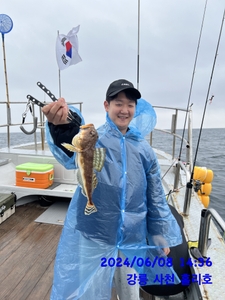 6월8일 강릉 사천 홀리호 오후 광어 멫 가자미 체험 다녀왓네요  선상낚시로 잡은 물고기 조황