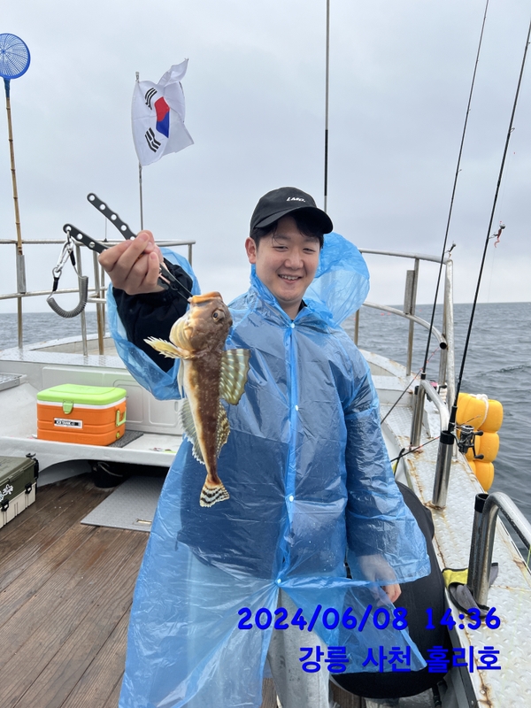 강릉 홀리호의 조황일지 이미지 - 0