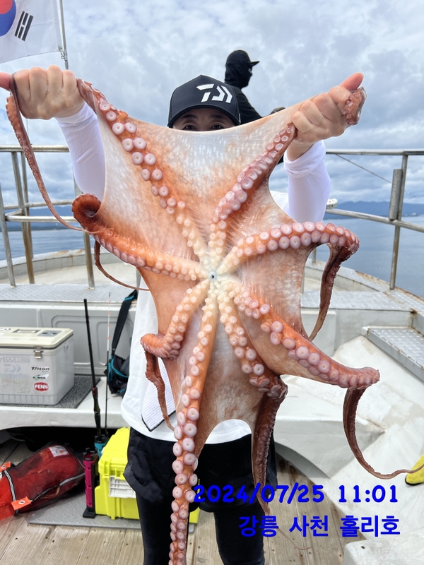 강릉 홀리호의 조황일지 이미지 - 13