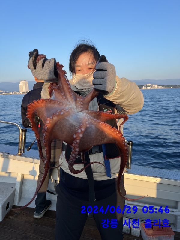 강릉 홀리호의 조황일지 이미지 - 1