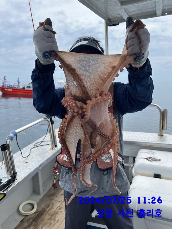 강릉 홀리호의 조황일지 이미지 - 15