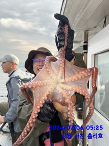 7월 6일 강릉 사천 홀리호 문어 조황입니다 선상낚시로 잡은 물고기 조황