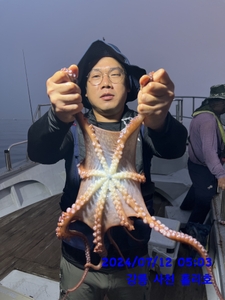 7월12일 강릉 사천 홀리호 문어 조황입니다 선상낚시로 잡은 물고기 조황