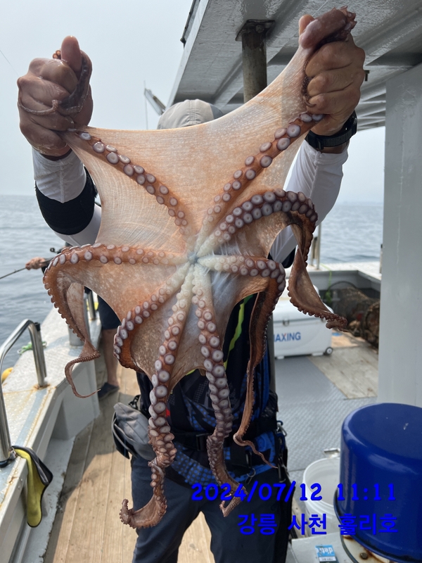 강릉 홀리호의 조황일지 이미지 - 12