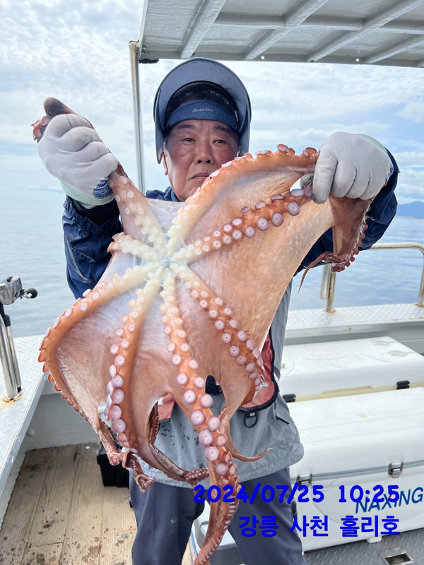 강릉 홀리호의 조황일지 이미지 - 10