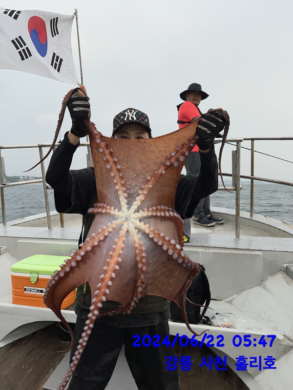 강릉 홀리호의 조황일지 이미지 - 1