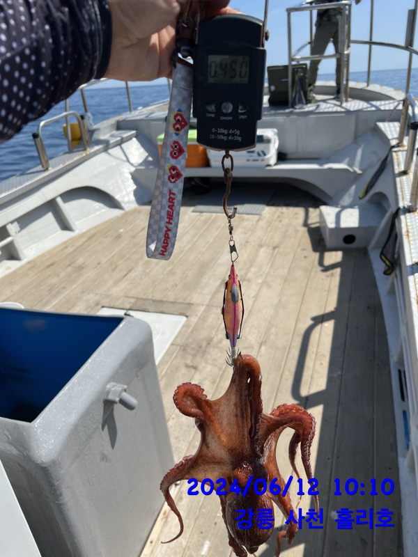 강릉 홀리호의 조황일지 이미지 - 7