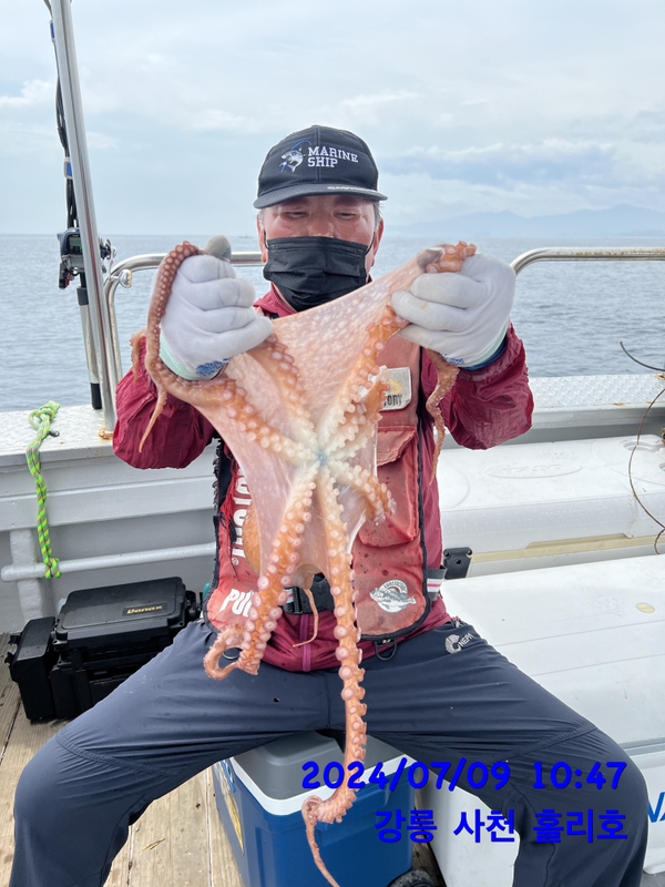 강릉 홀리호의 조황일지 이미지 - 11