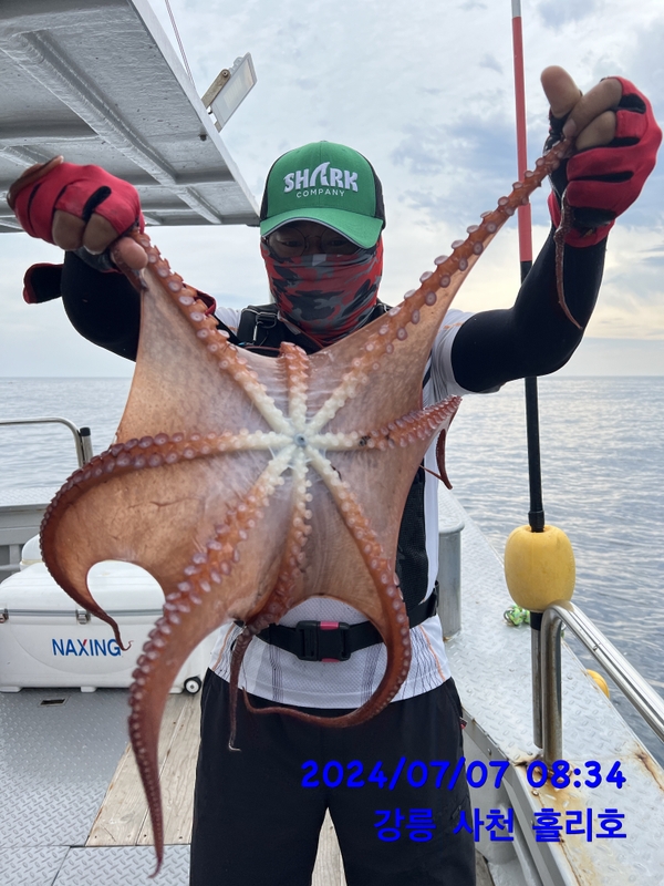 강릉 홀리호의 조황일지 이미지 - 2