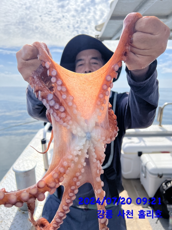 강릉 홀리호의 조황일지 이미지 - 7