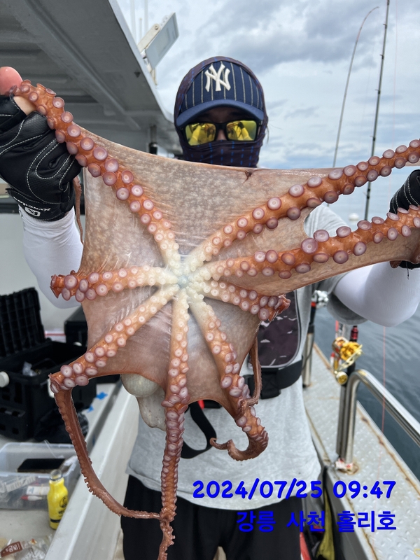 강릉 홀리호의 조황일지 이미지 - 7