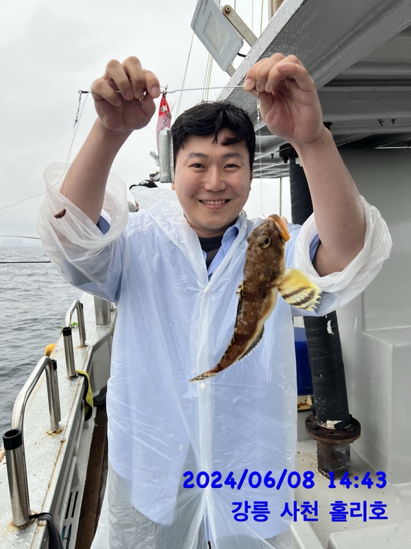 강릉 홀리호의 조황일지 이미지 - 1