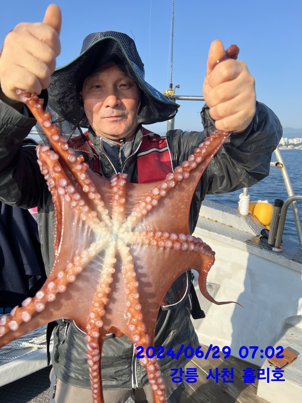 강릉 홀리호의 조황일지 이미지 - 3