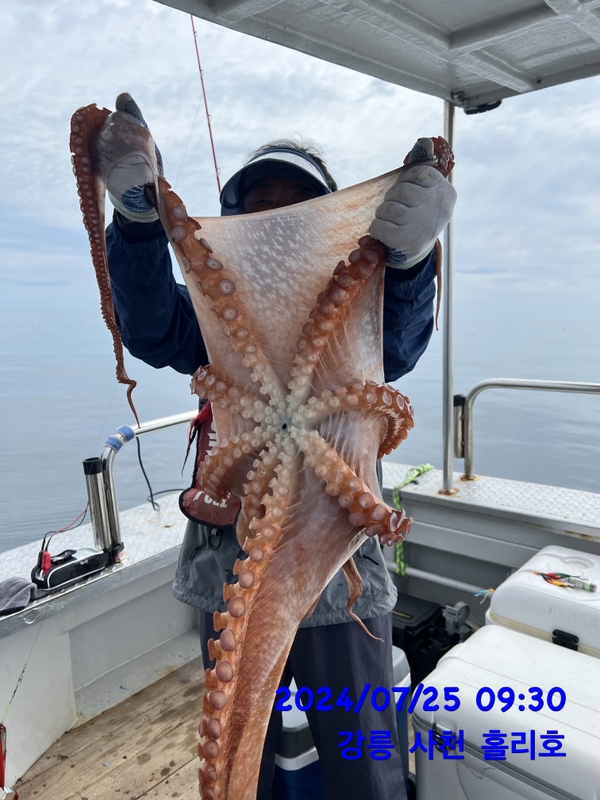 강릉 홀리호의 조황일지 이미지 - 5