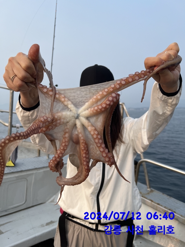 강릉 홀리호의 조황일지 이미지 - 3