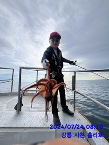 7월24일 강릉 사천 홀리호 문어 대구 조황입니다 선상낚시로 잡은 물고기 조황
