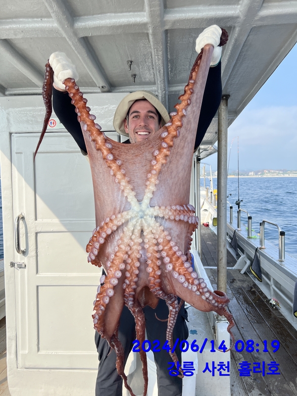 강릉 홀리호의 조황일지 이미지 - 1