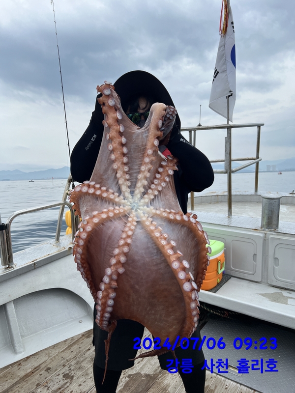 강릉 홀리호의 조황일지 이미지 - 6