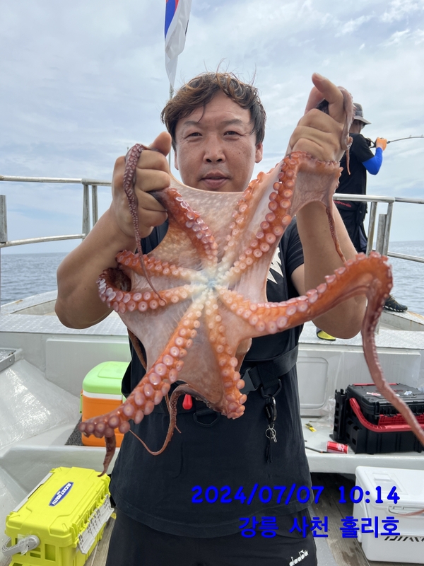 강릉 홀리호의 조황일지 이미지 - 6