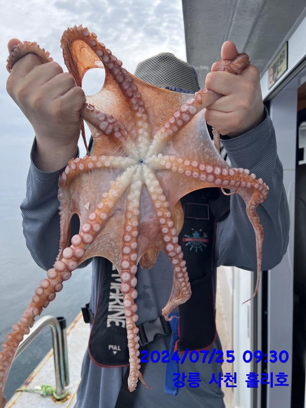 강릉 홀리호의 조황일지 이미지 - 4