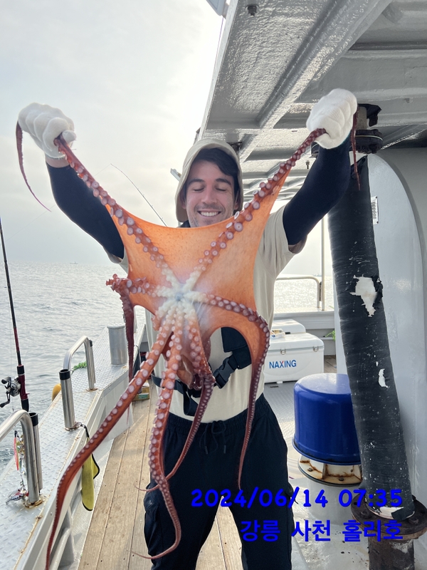 강릉 홀리호의 조황일지 이미지 - 0