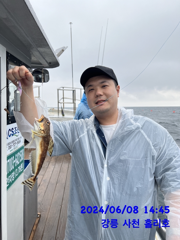 강릉 홀리호의 조황일지 이미지 - 2