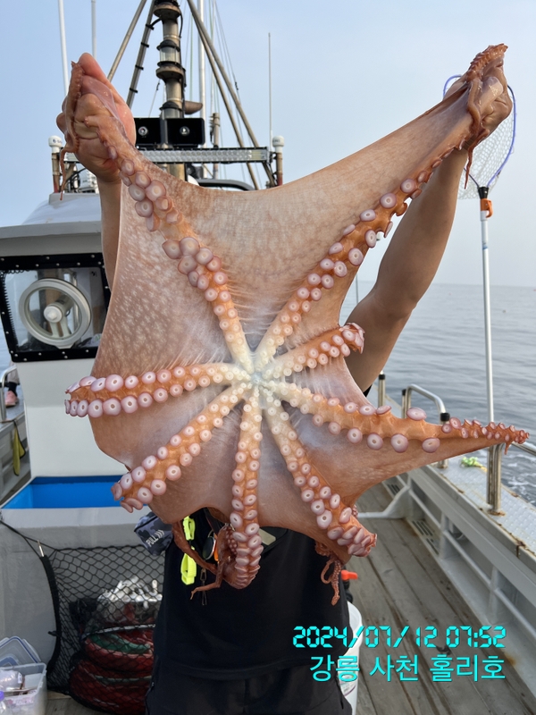 강릉 홀리호의 조황일지 이미지 - 5