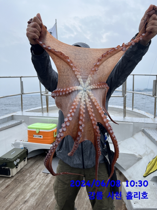 강릉 홀리호의 조황일지 이미지 - 1