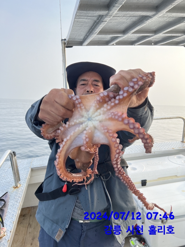 강릉 홀리호의 조황일지 이미지 - 4