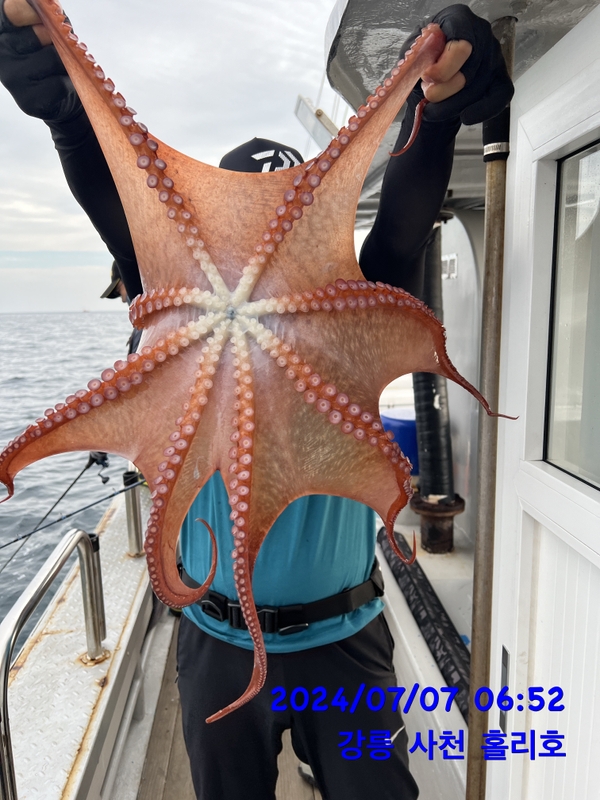 강릉 홀리호의 조황일지 이미지 - 1