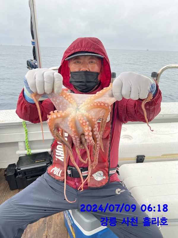 강릉 홀리호의 조황일지 이미지 - 3