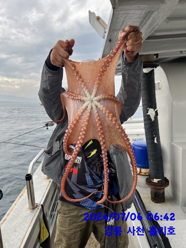 강릉 홀리호의 조황일지 이미지 - 3