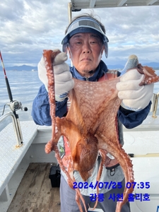 7월25일 강릉 사천 홀리호 문어 조황입니다 선상낚시로 잡은 물고기 조황
