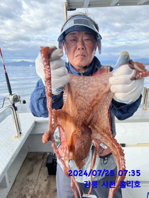 강릉 홀리호의 조황일지 이미지 - 0