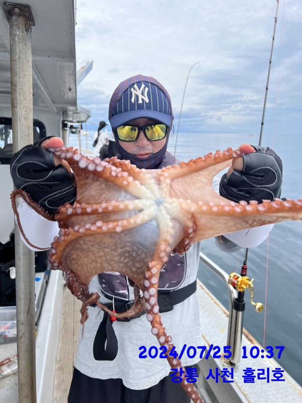 강릉 홀리호의 조황일지 이미지 - 11