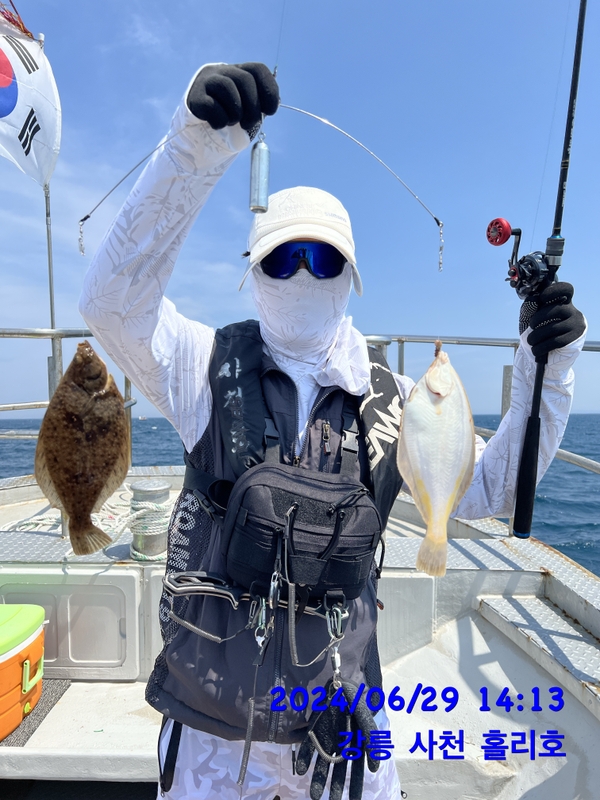 강릉 홀리호의 조황일지 이미지 - 3