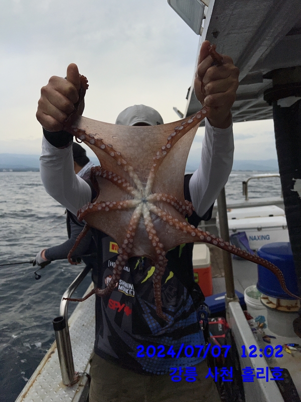 강릉 홀리호의 조황일지 이미지 - 13