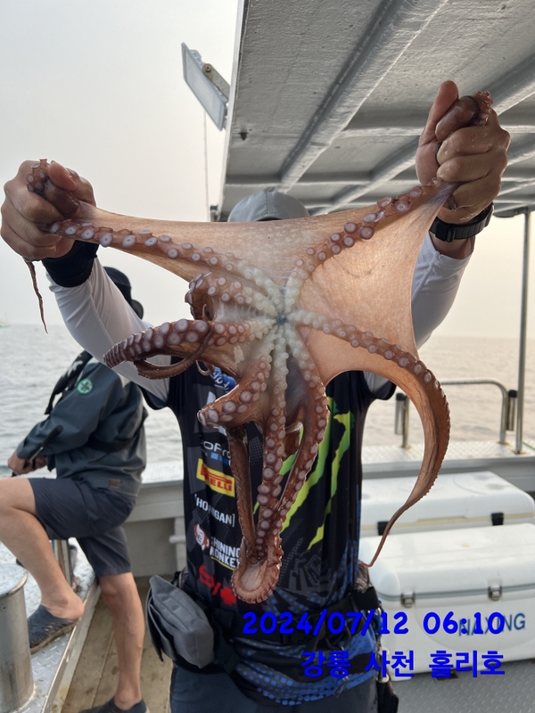 강릉 홀리호의 조황일지 이미지 - 2