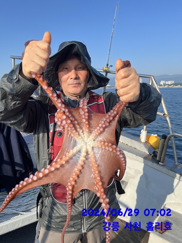 강릉 홀리호의 조황일지 이미지 - 2