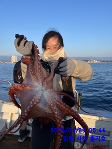 6월29일 강릉 사천 홀리호 문어 조황입니다 선상낚시로 잡은 물고기 조황