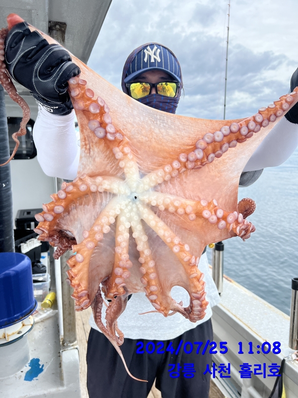 강릉 홀리호의 조황일지 이미지 - 14