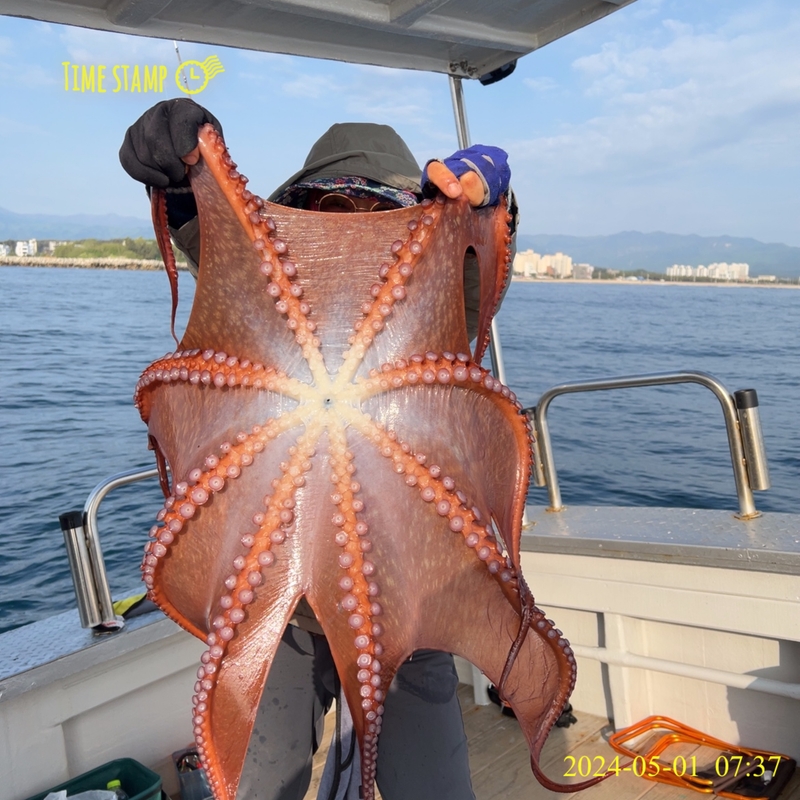 해당 선사를 대표하는 이미지