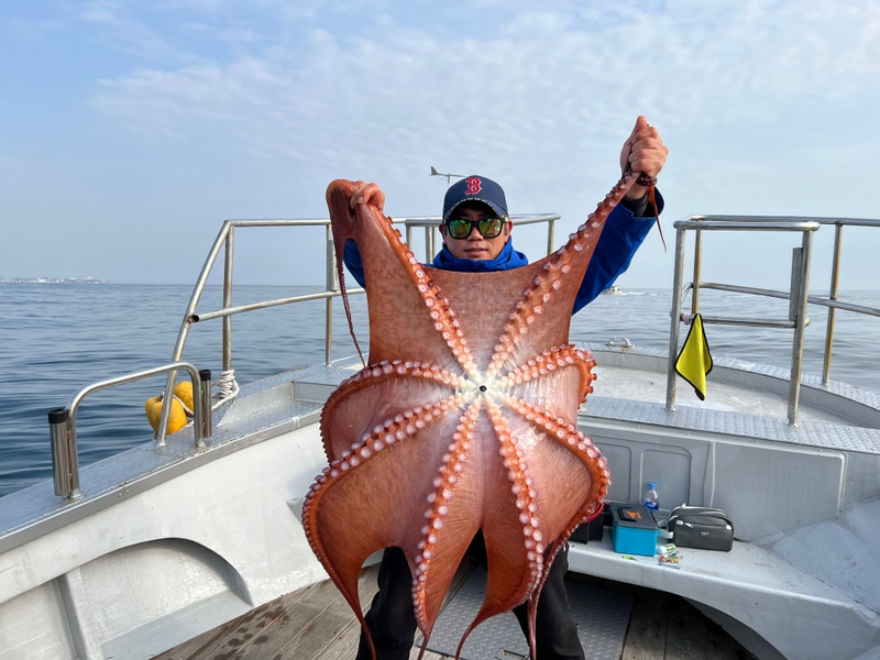 해당 선사를 대표하는 이미지