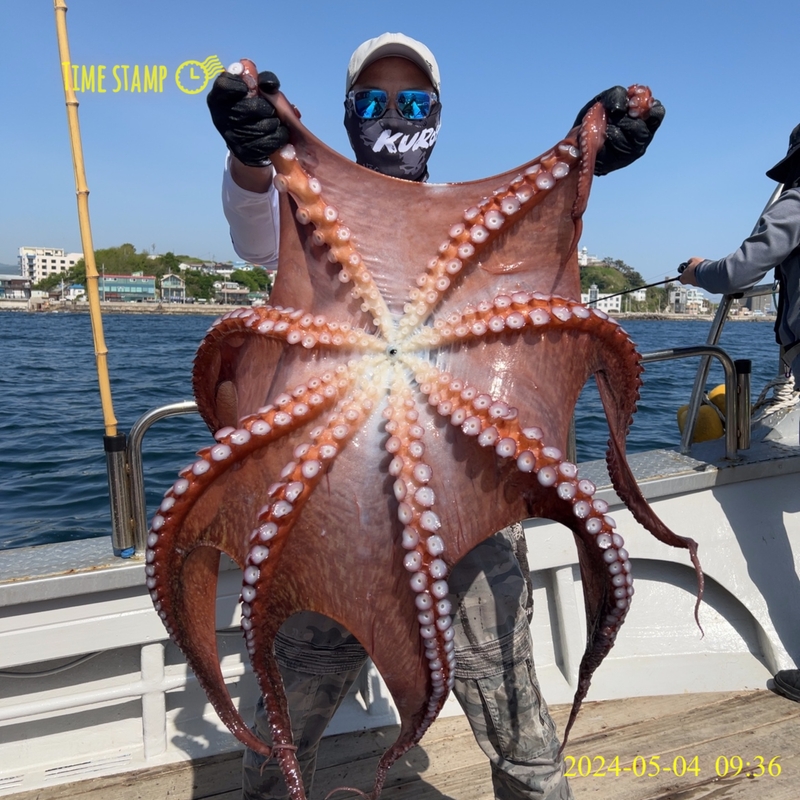 해당 선사를 대표하는 이미지